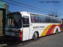 Mercedes Benz O-303 / Buses Panda