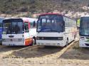 Mercedes Benz O-303 - Kassbhorer Setra S215HD / Transporte Privado