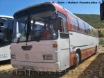 Mercedes Benz O-303 / Particular