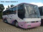 Busscar El Buss 340 / Mercedes Benz O-400RSE / Pullman Bus