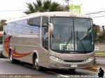 Comil Campione 3.45 / Mercedes Benz O-500R / Expreso Rojas