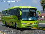 Comil Campione 3.45 / Mercedes Benz OF-1721 /  Buses Cariz