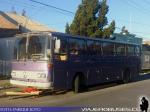 Mercedes Benz O-364 / Particular