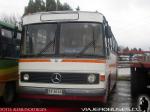 Mercedes Benz O-365 / Particular