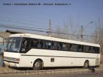 Mercedes Benz O-371RSL / Particular