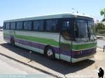 Mercedes Benz O-371RS / Particular