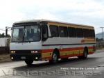 Mercedes Benz O-371R / Particular