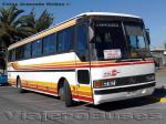 Mercedes Benz O-371RS / Buses Bucarey