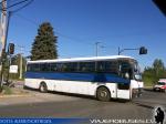 Mercedes Benz O-371RS / Particular