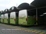 Busscar Jum Buss 380 / Mercedes Benz O-500RS / Tur-Bus