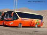 Yutong ZK6129HE / Pullman Bus Industrial