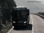 Neobus Mega / Mercedes Benz / Gendarmeria de Chile