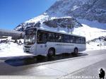 Marcopolo Torino G7 / Mercedes Benz OF-1722 / I. Municipalidad de Casablanca