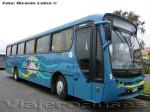 Caio Apache Vip / Mercedes Benz OF-1722 / I. Municipalidad de Calle Larga