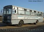 Ciferal Tocantins / Mercedes Benz 1113 / Particular