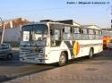 Caio Vitoria / Mercedes Benz OF-1318 / Ecobus