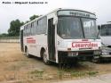 Ciferal GLS / Mercedes Benz OF-1115 / Supermercados Covarrubias