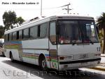 Mercedes Benz O-371RSL / Particular