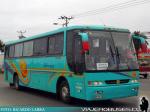 Busscar El Buss 340 / Mercedes Benz O-400RSE / Buses Fernandez e Hijos