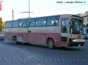 Mercedes Benz O-303 / Transporte Privado