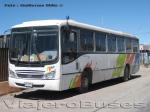 Maxibus Dolphin Class / Mercedes Benz OF-1721 / Particular