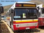 Mercedes Benz O-371U /  Particular - Especial Caminata Los Andes 2008