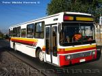 Mercedes Benz O-371U / Particular