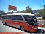 Marcopolo Viaggio G7 1050 / Mercedes Benz O-500RS / Pullman Bus Industrial