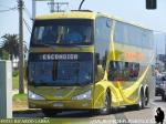 Modasa New Zeus II / Scania K410 / Serena Mar