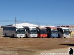 Flota de Buses Tandem