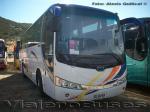 Woolong / Buses González - Especial Caminata Los Andes 2009