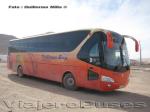 Yutong ZK6129HE / Pullman Bus Industrial