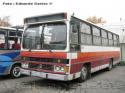 Caio Amelia / Mercedes Benz OF-1113 / Transporte Privado