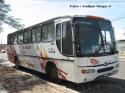 Marcopolo Andare / Mercedes Benz OF-1721 / Pullman San Luis