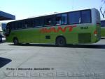 Marcopolo Andare 1000 / Scania K340 / Avant