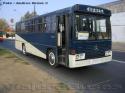 Metalpar Petrohue / Mercedes Benz OF-1115 / Transporte Privado