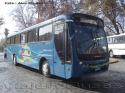 Caio Apache Vip / Mercedes Benz OF-1722 / I. Municipalidad de Calle Larga