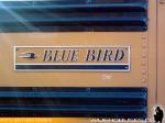 Blue Bird / International / Educacion Adventista