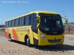 Caio Solar FX / Mercedes Benz OF-1722M / I. Municipalidad de Pirque