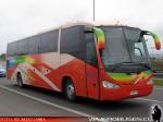 Irizar Century / Mercedes Benz O-500RS / Particular