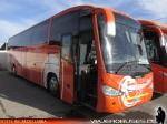 Irizar Century / Scania K380 / Buses Pallauta