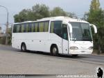 Irizar Century / Volkswagen 17-240 OT / Particular