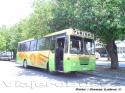 Metalpar Petrohue Ecologico / Mercedes Benz OF-1318 / Bus Particular