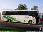 Bonluck PK6128A3 / Transportes Mancilla