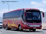 Zhong Tong LCK6107H / Buses Thiele