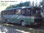 Nielson Diplomata 310 / Mercedes Benz 1113 / Buses Pino