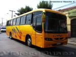 Maxibus Dolphin / Mercedes Benz OF-1721 / Nental Bus