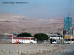 Flota de Buses Pullman San Luis