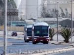 Unidades Irizar Century / Mercedes Benz - Scania / Hualpen