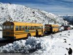 Flota de Buses Varias Empresas Particular 1º Parte